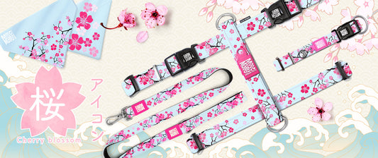 Cherry Bloom Collection